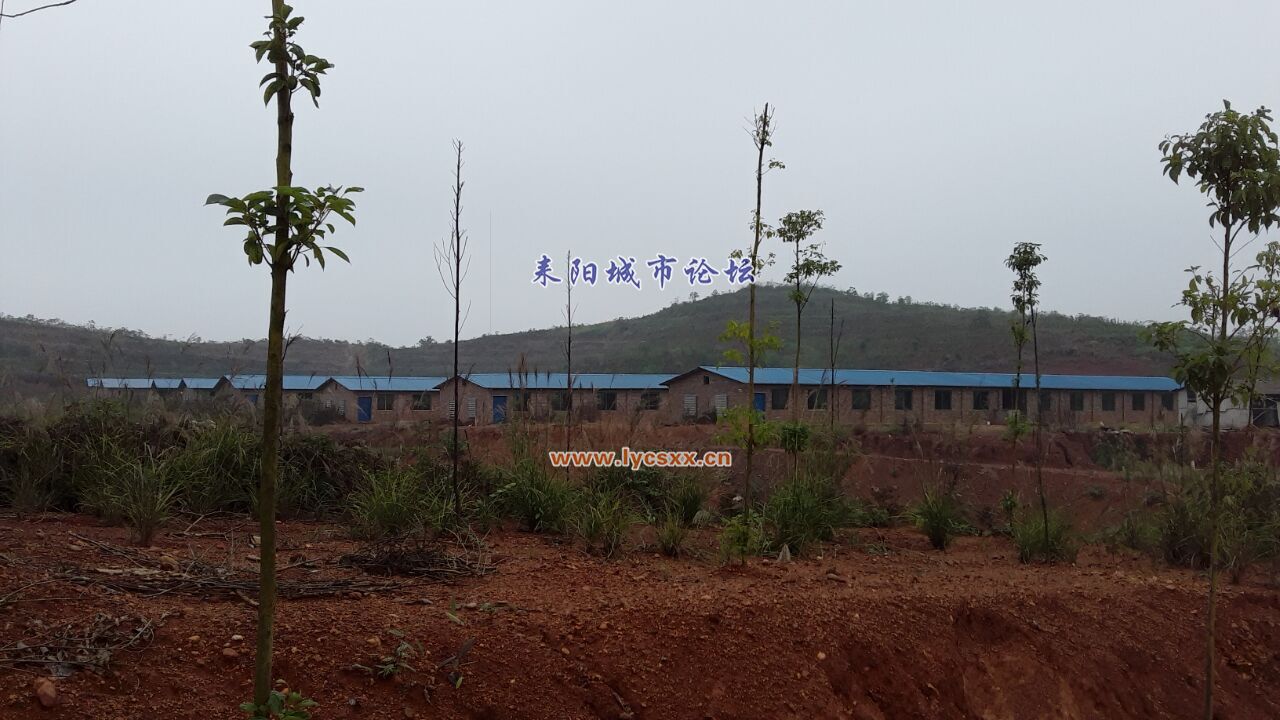 QQͼƬ20161030213111.jpg