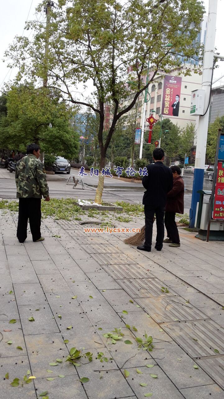 QQͼƬ20161104212855.jpg