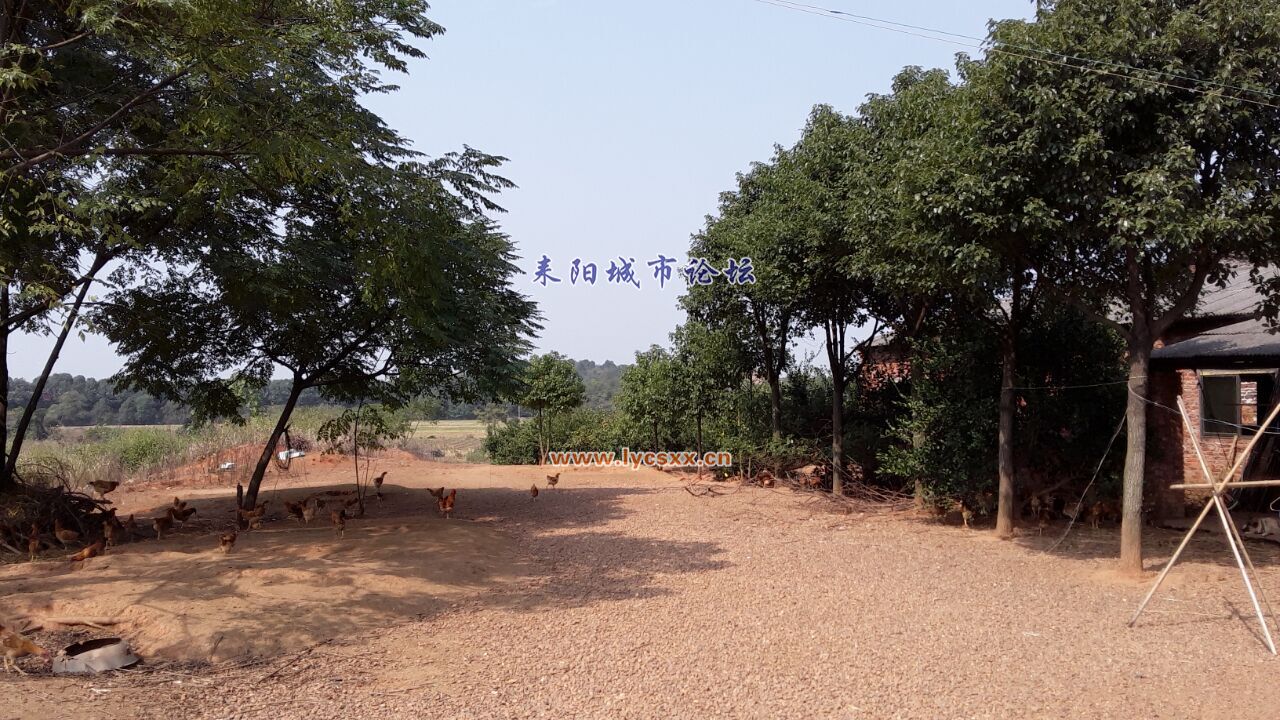 QQͼƬ20161106182125.jpg