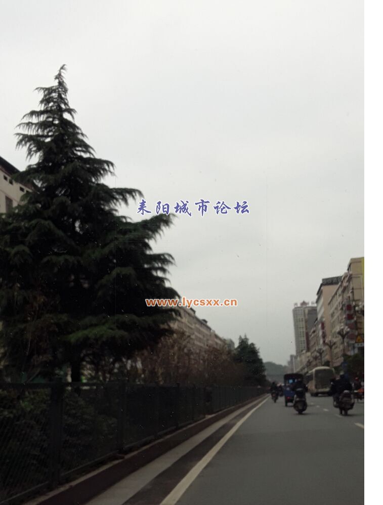 QQͼƬ20161111144059.jpg
