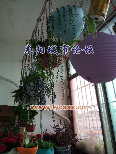 IMG_20161113_151128.jpg