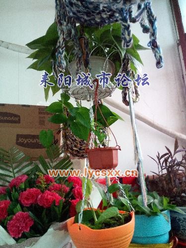 IMG_20161113_150752.jpg