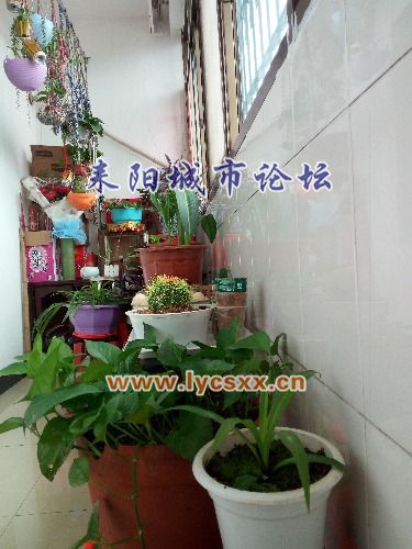 IMG_20161114_130215.jpg