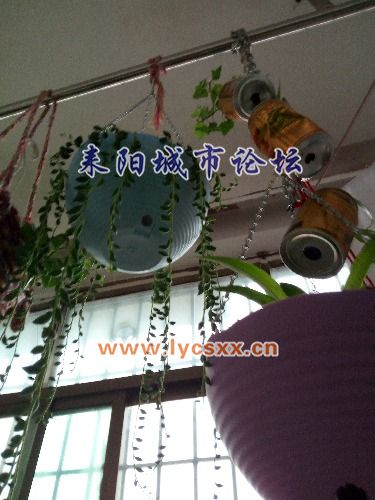 IMG_20161115_083915.jpg