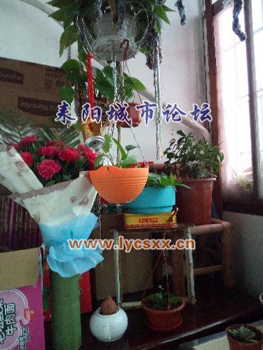 IMG_20161115_083904.jpg