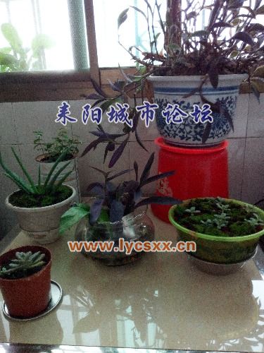 IMG_20161115_083849.jpg
