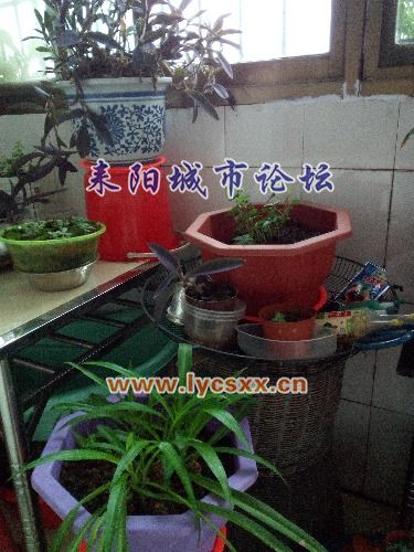 IMG_20161115_083842.jpg