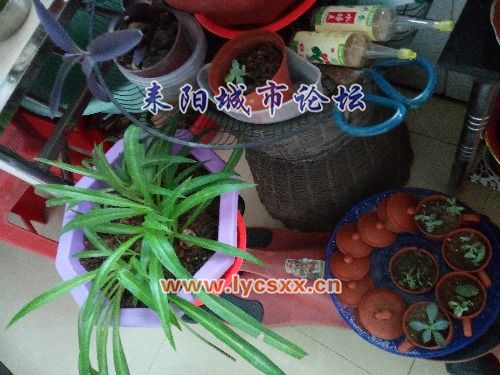 IMG_20161115_083830.jpg