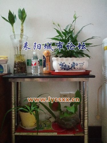 IMG_20161115_083545.jpg