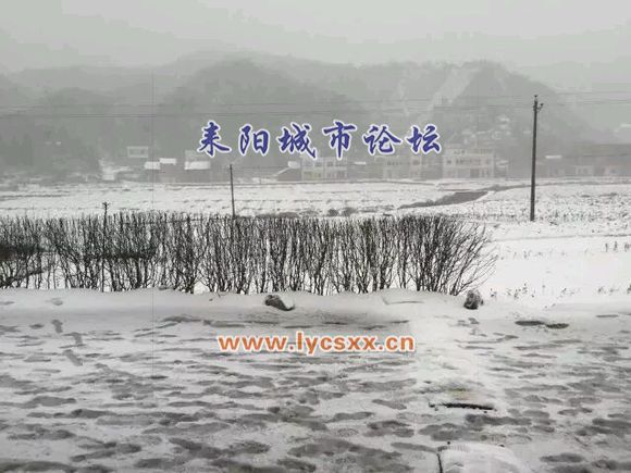 4f5c237f9e2f070805290825e024b899a901f275.jpg