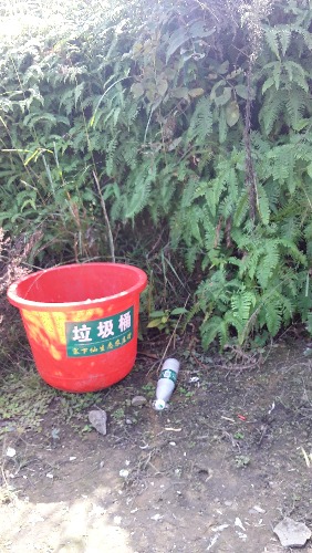 20161104_112956.jpg