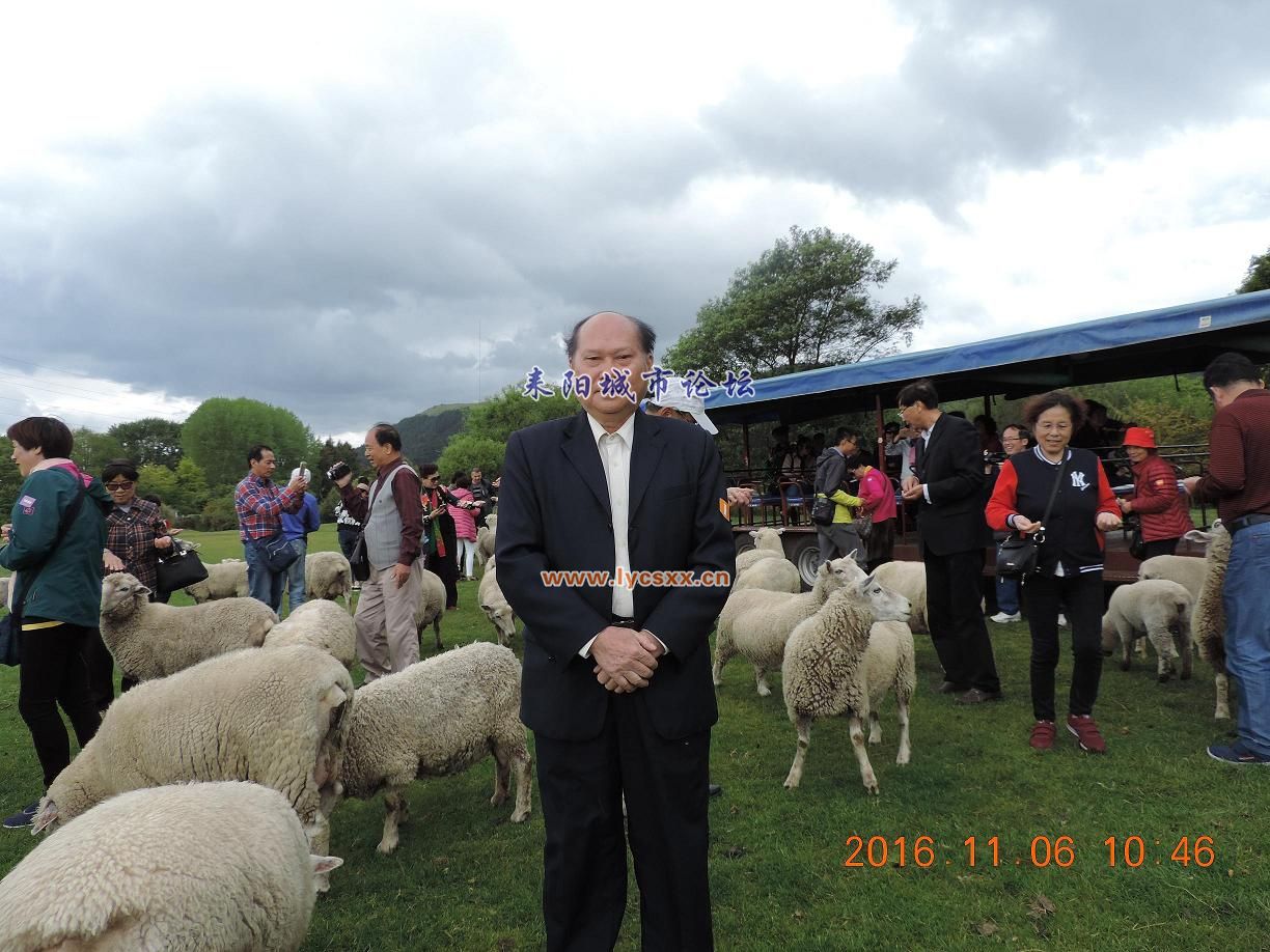 DSCN7322.JPG
