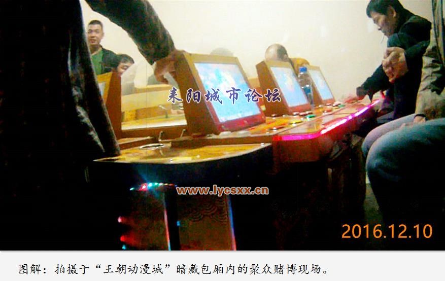 2016121191332t8.jpg