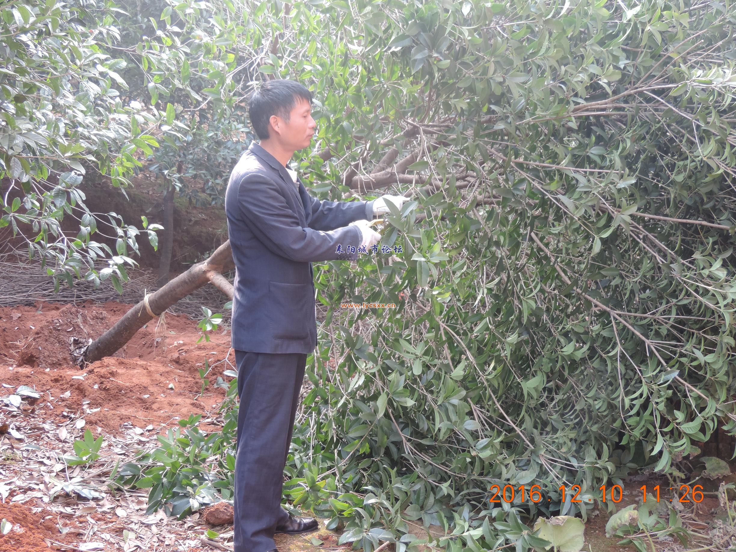 DSCN7855.JPG