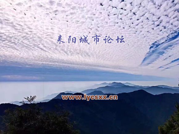 811bacaf2edda3cc3ddde82208e93901213f92a0.jpg