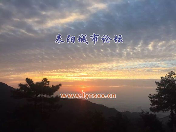 c6d931adcbef76097632c99d27dda3cc7cd99ea0.jpg