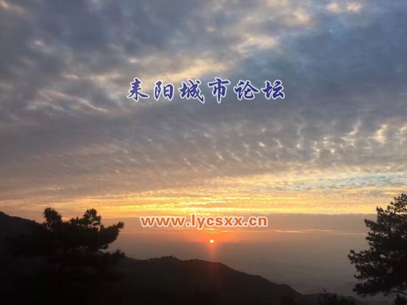 fb80cbef76094b3692ab4befaacc7cd98d109da0.jpg