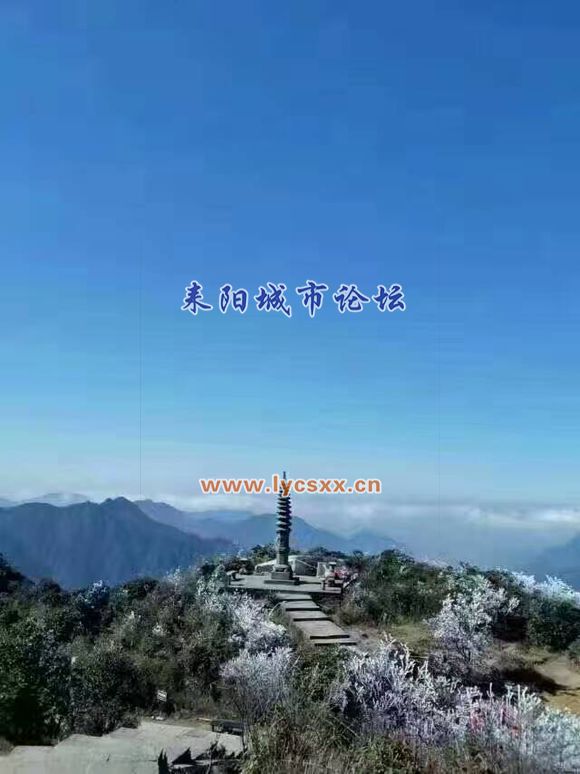 ec12b2de9c82d158021ef8be890a19d8bc3e4238.jpg