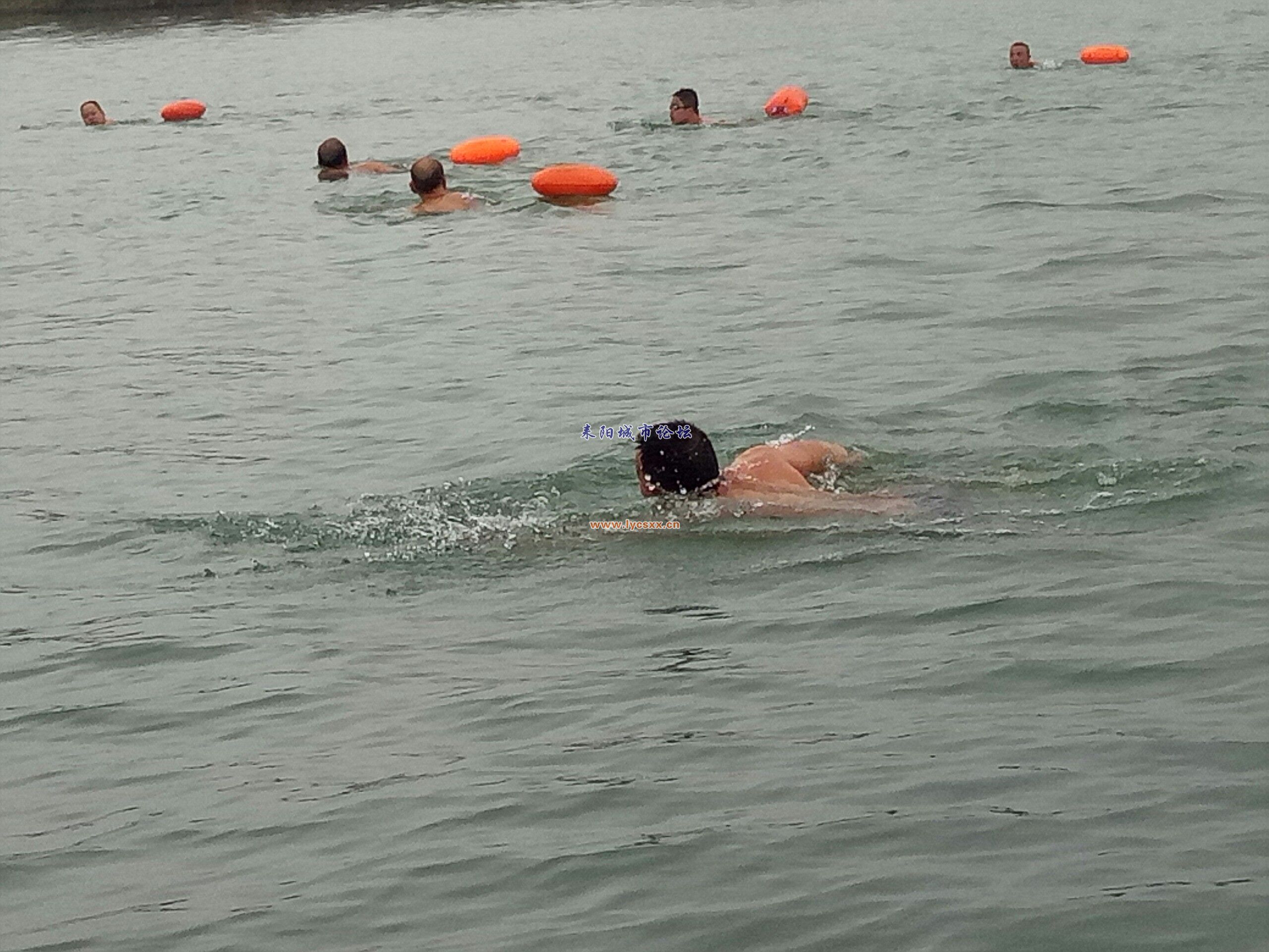 IMG_20161226_234606.jpg