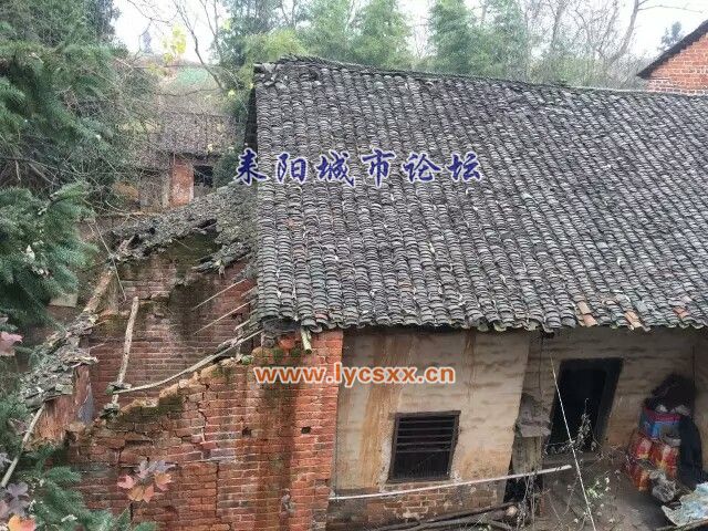 IMG_20170106_182209.jpg