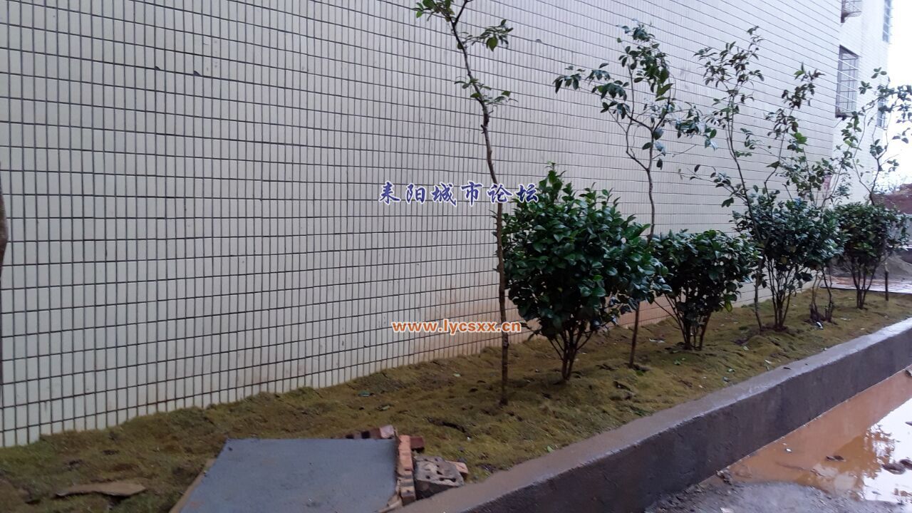 QQͼƬ20170111185107.jpg