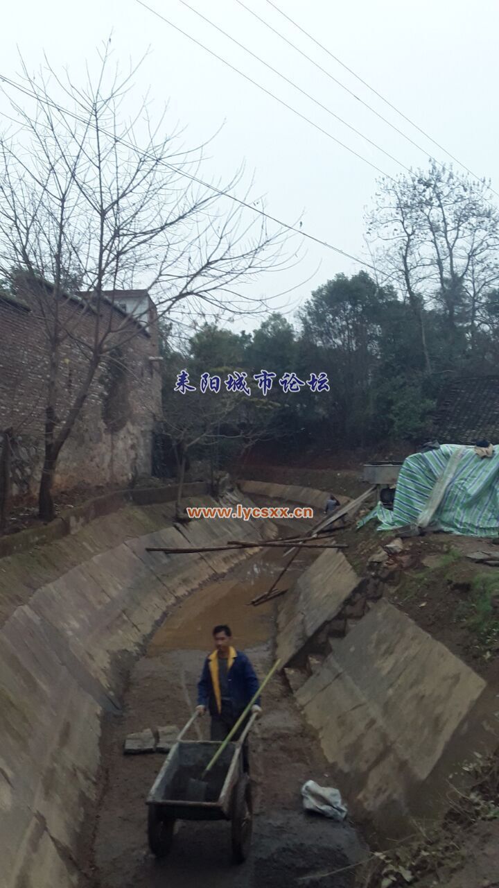 QQͼƬ20170113213112.jpg