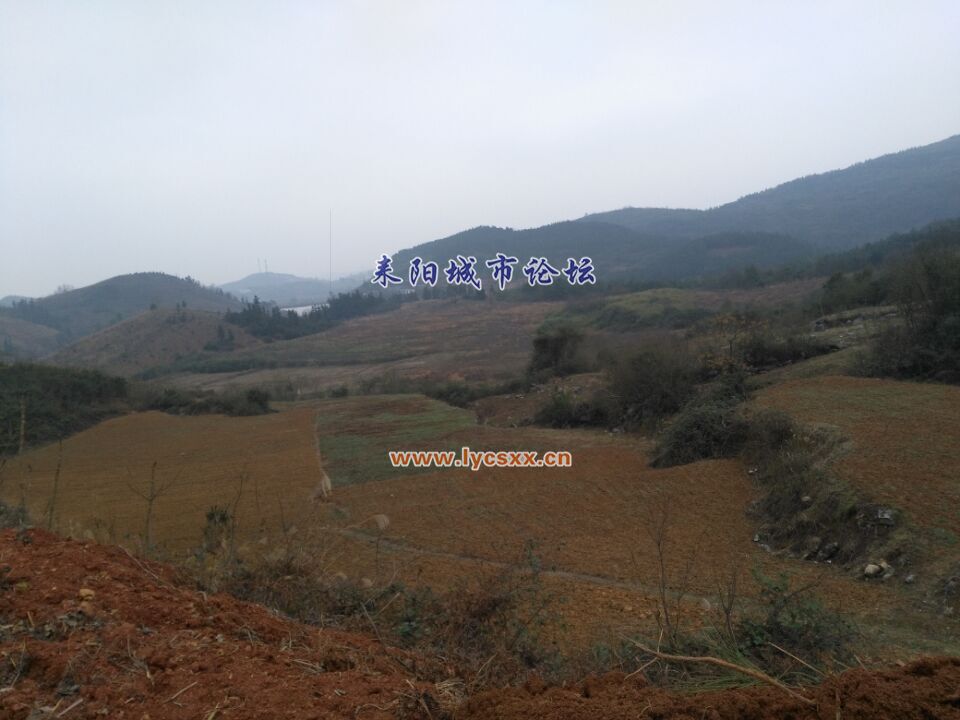 QQͼƬ20170113212219.jpg