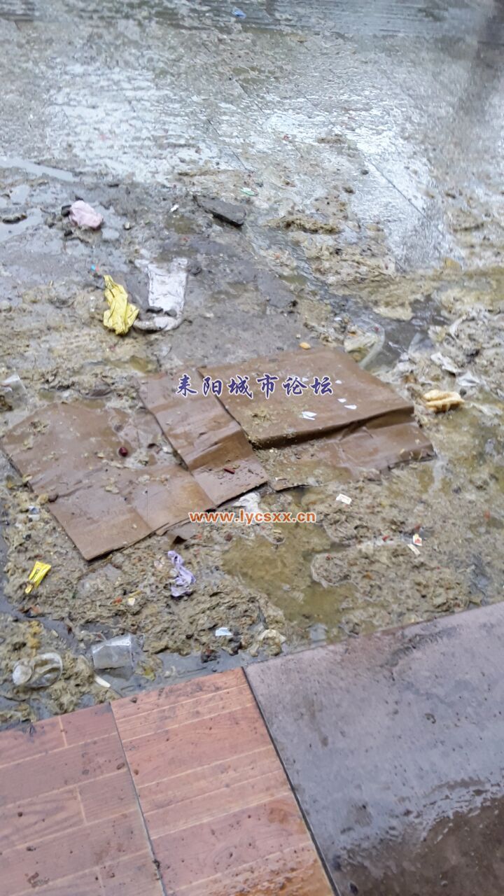 QQͼƬ20170204214431.jpg