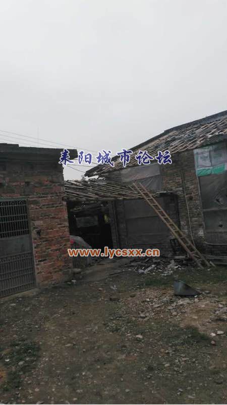 1db3b2003af33a8783a02aa7cf5c10385143b5cc.jpg