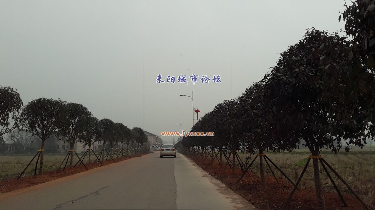 QQͼƬ20170219225326.jpg