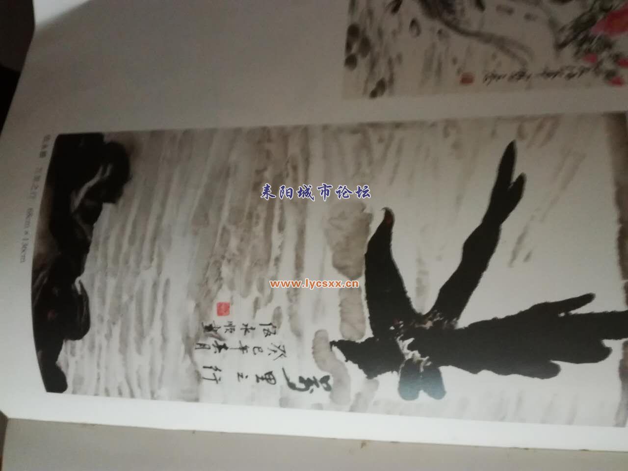 134837374299763600.jpg