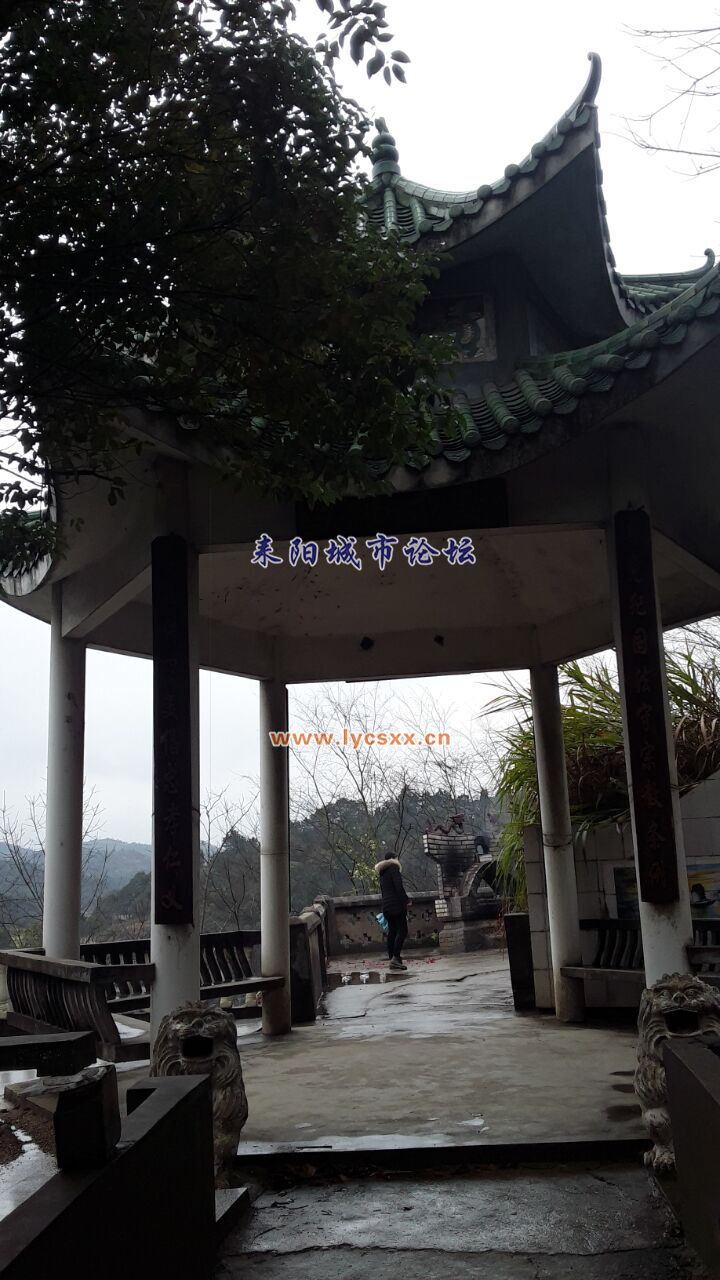 QQͼƬ20170224150229.jpg