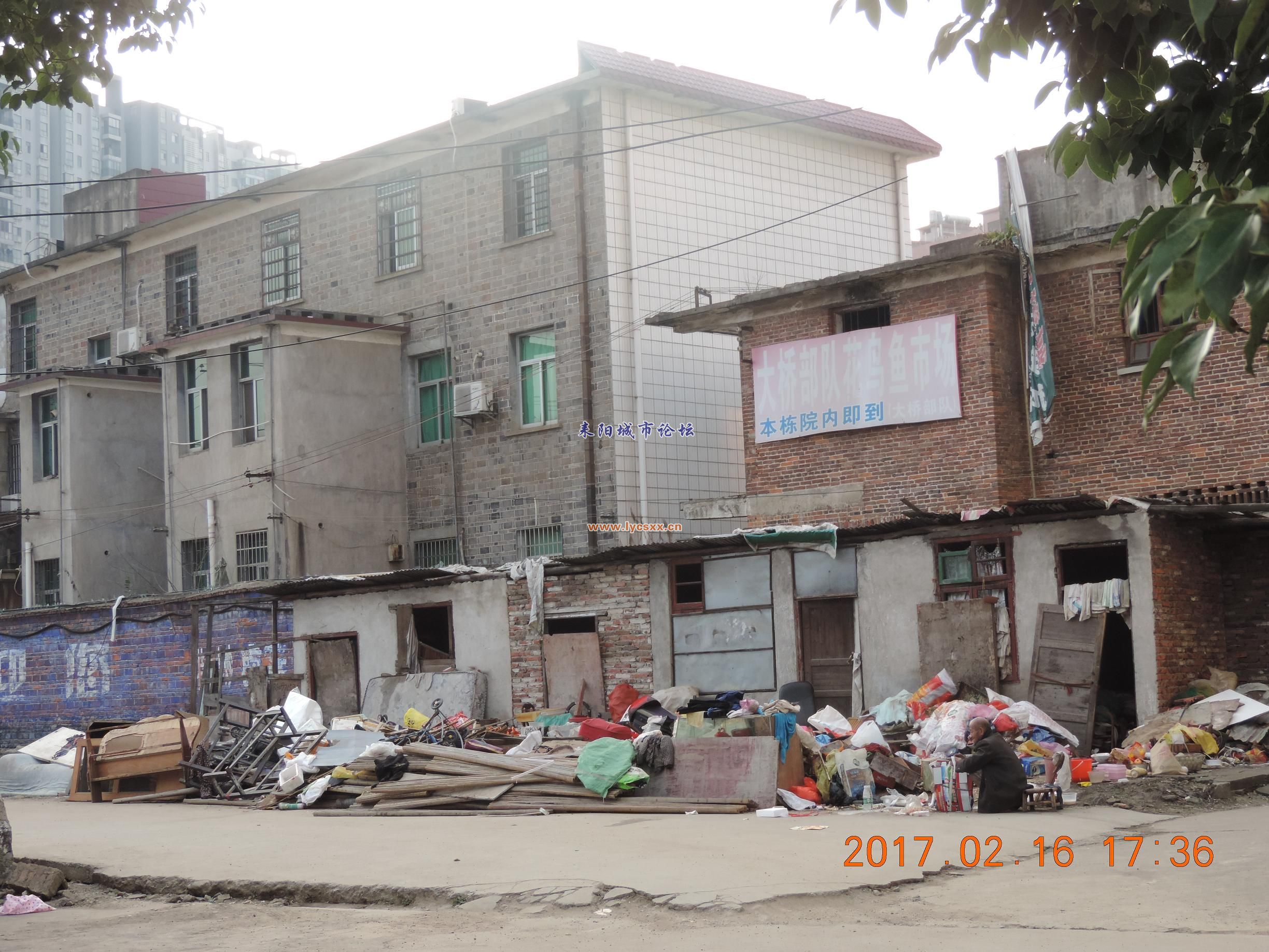 DSCN7981.JPG