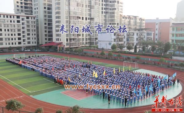 87cd96d.jpg