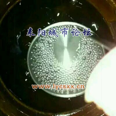 f1d88c5494eef01f889abb4be9fe9925bd317d0d.jpg