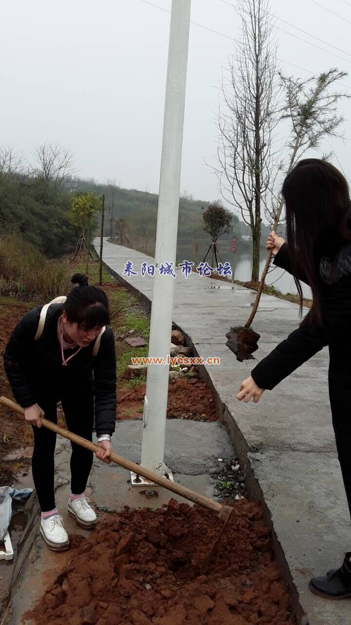 QQͼƬ20170309090332.jpg