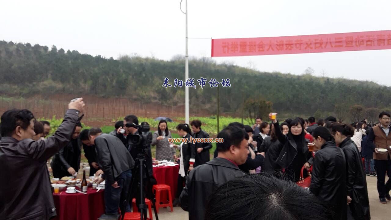 QQͼƬ20170310144908.jpg