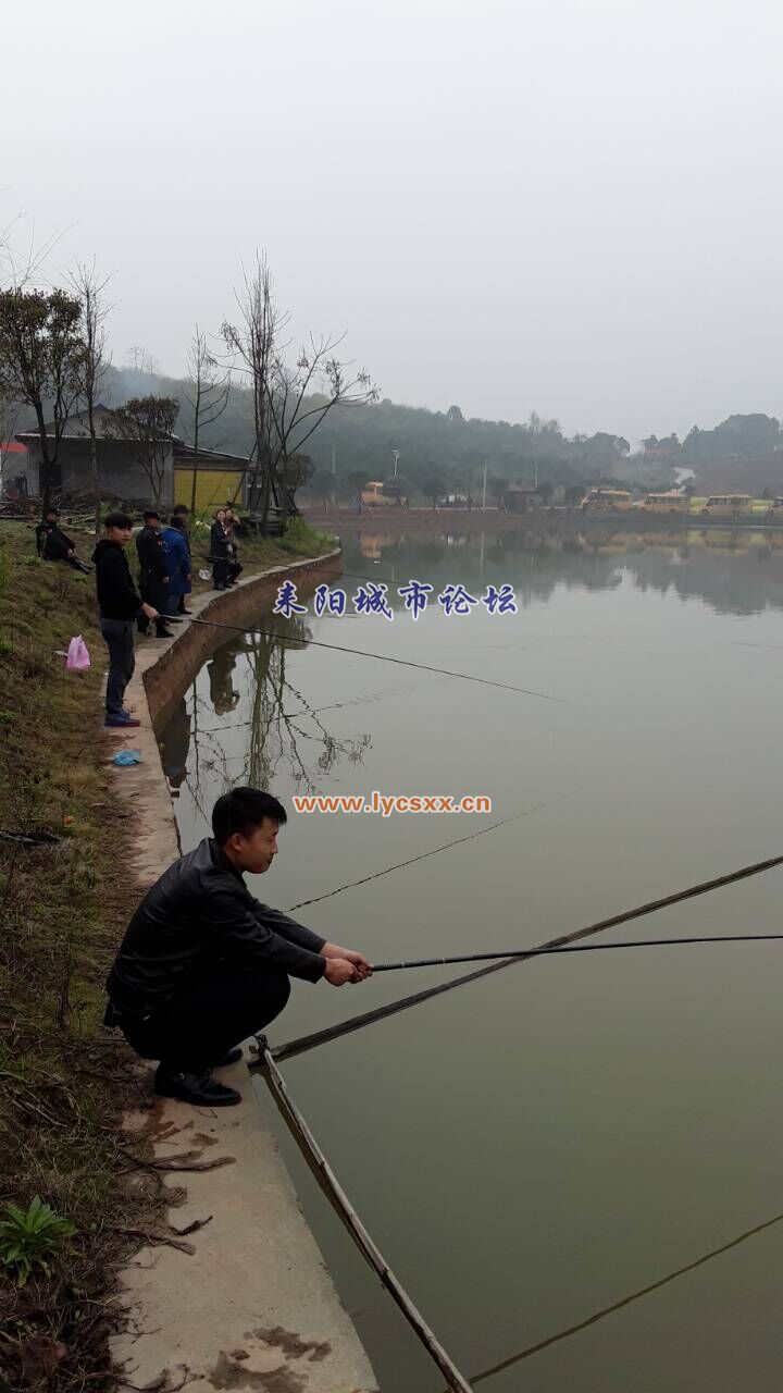 QQͼƬ20170310144817.jpg