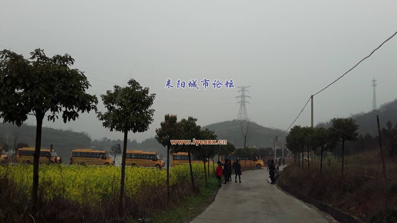 QQͼƬ20170310144754.jpg