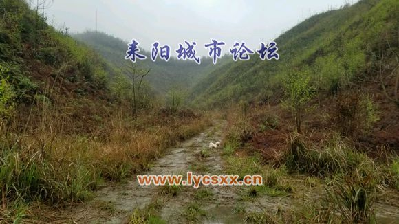 4aaccbfc1e178a82e90e944dff03738da877e8bc.jpg