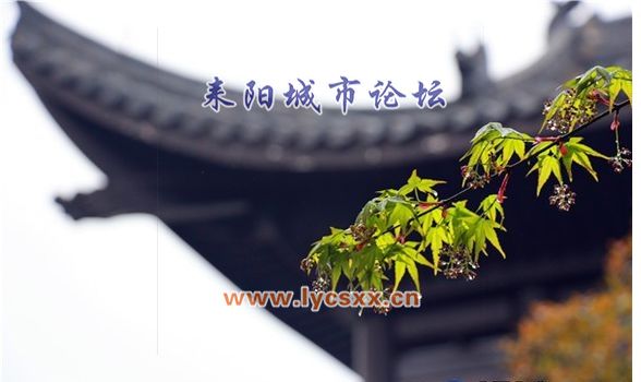 72b8a50f4bfbfbed729eeaab71f0f736aec31f32.jpg