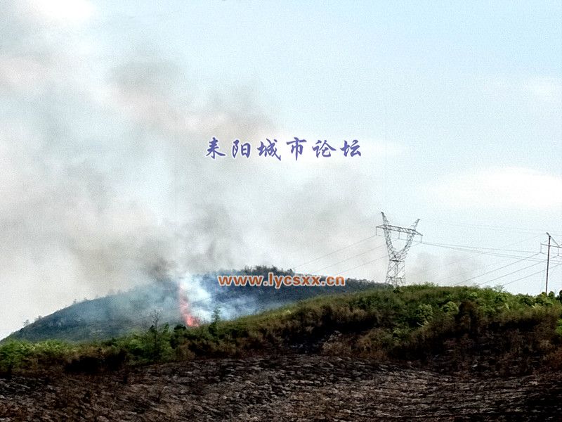 IMG20170403142354_.jpg