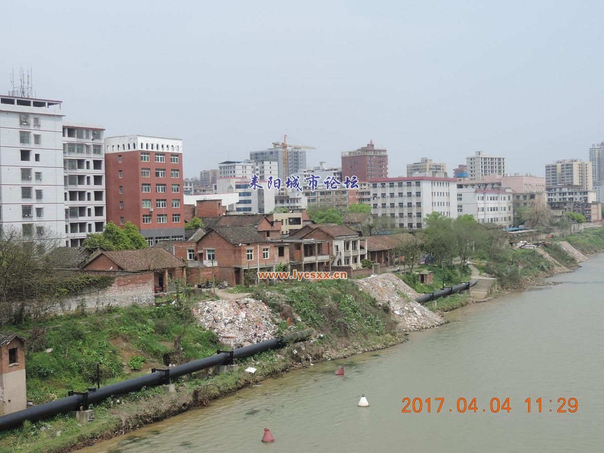 DSCN8142.JPG