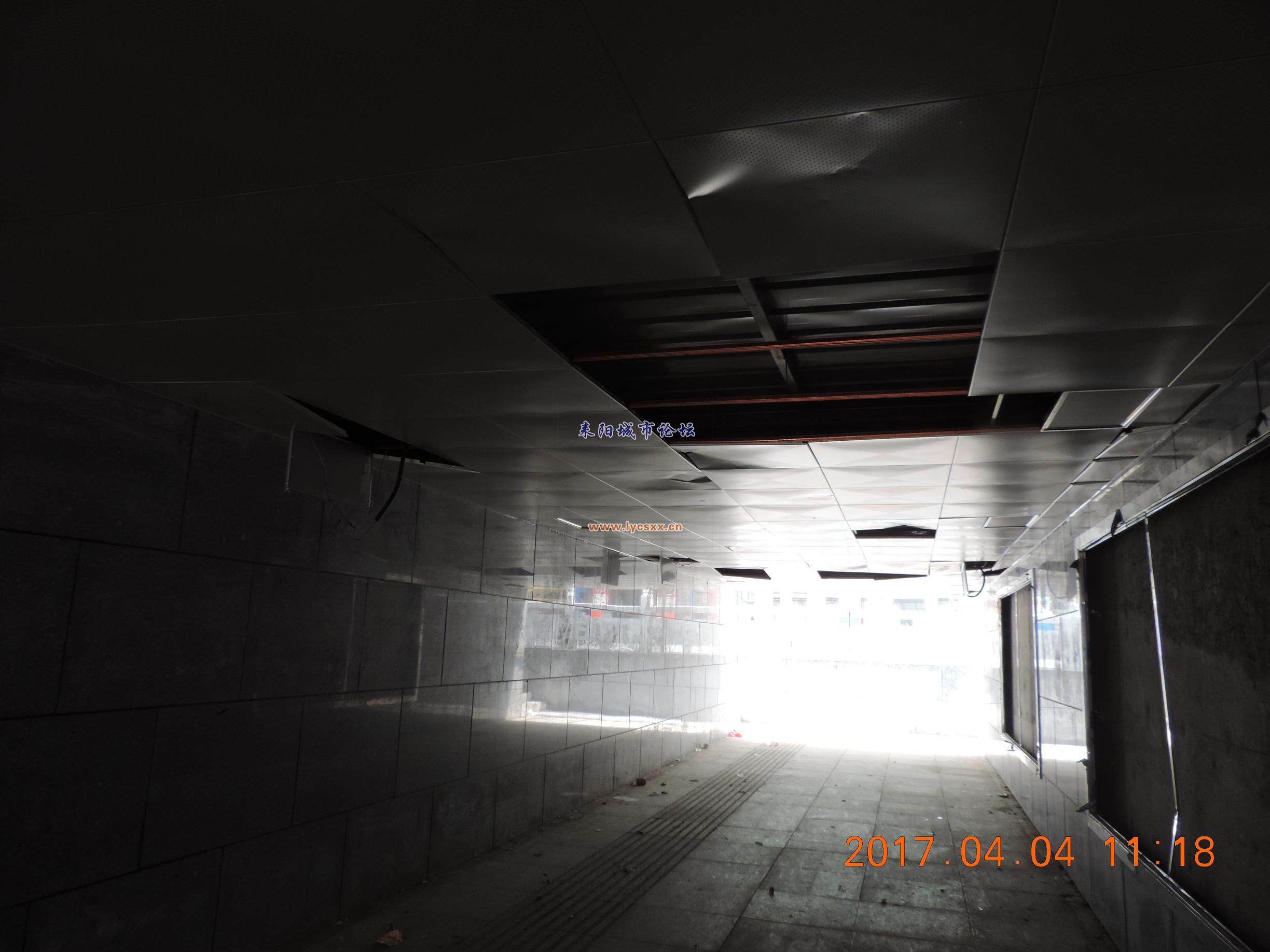 DSCN8133.JPG