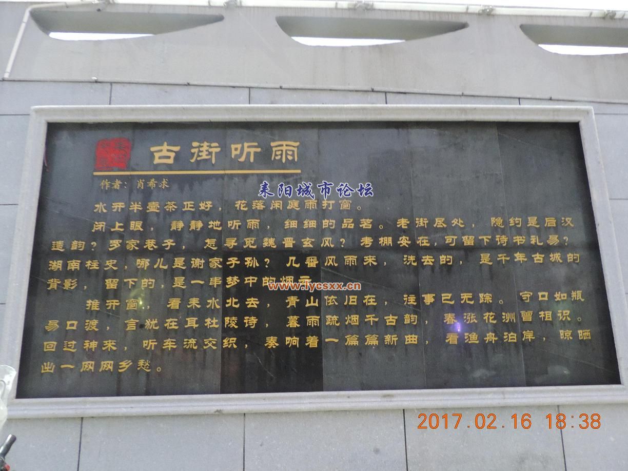 DSCN7990.JPG