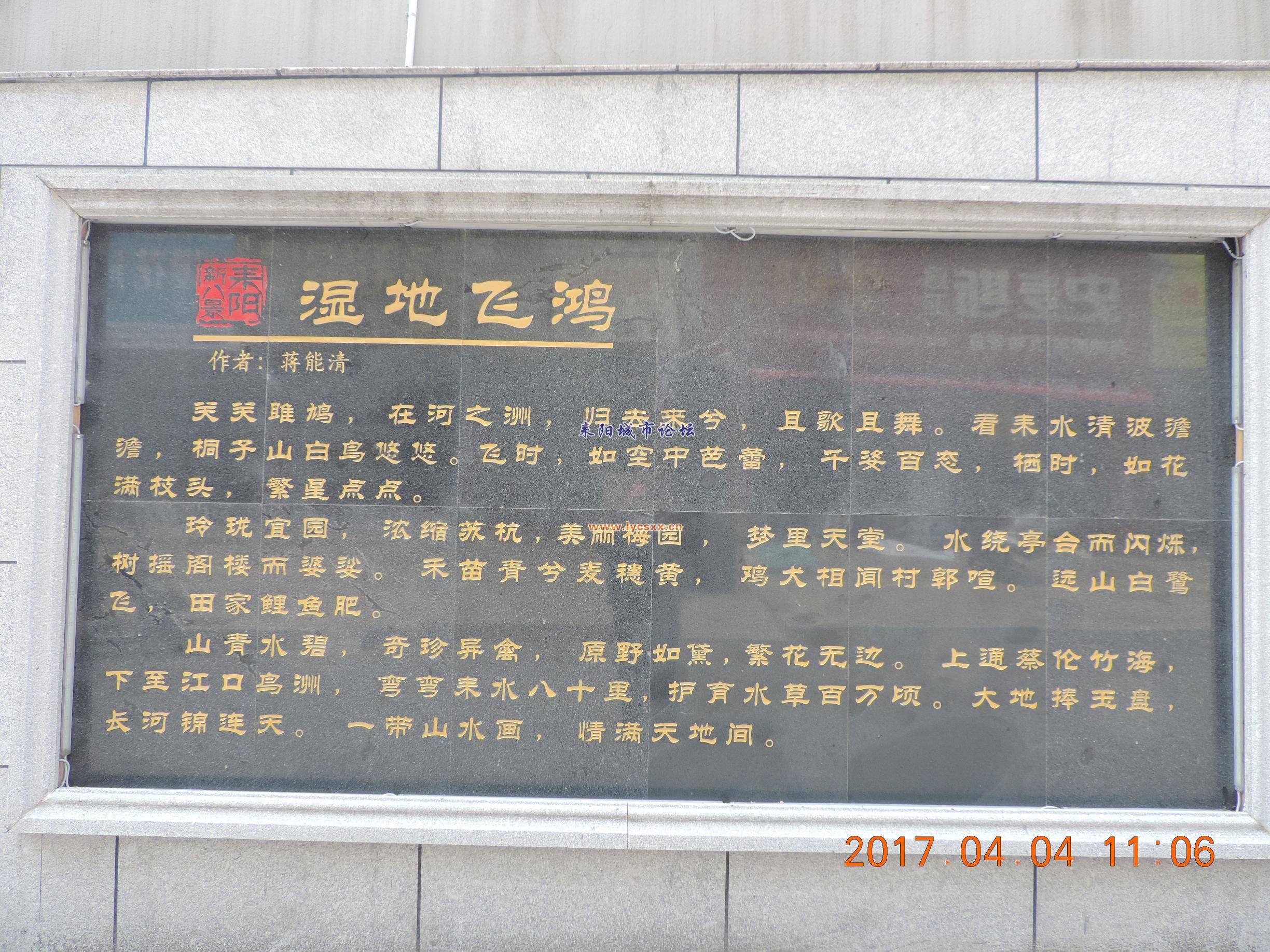 DSCN8125.JPG