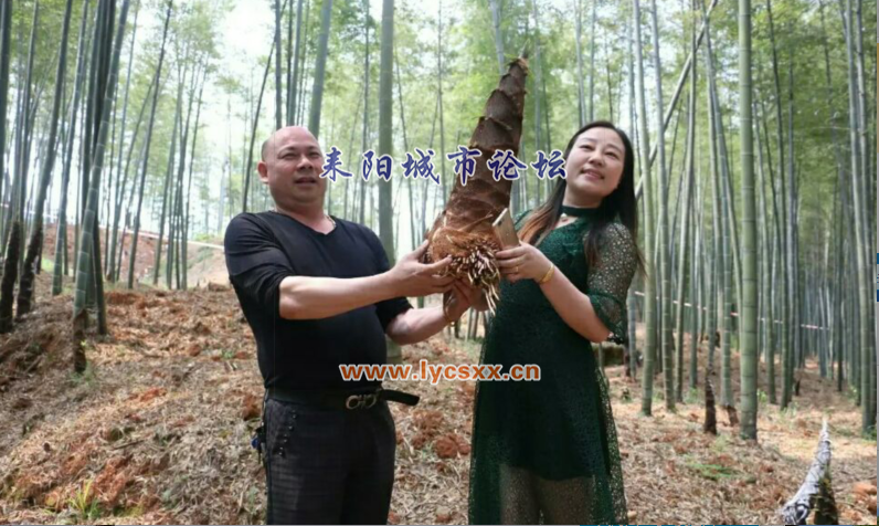 0.png
