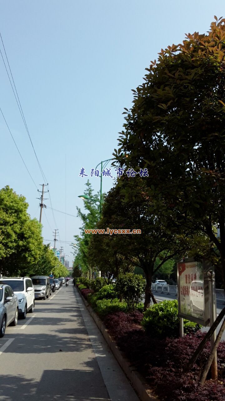 QQͼƬ20170416145650.jpg