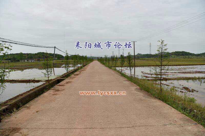QQͼƬ20170419083834.jpg