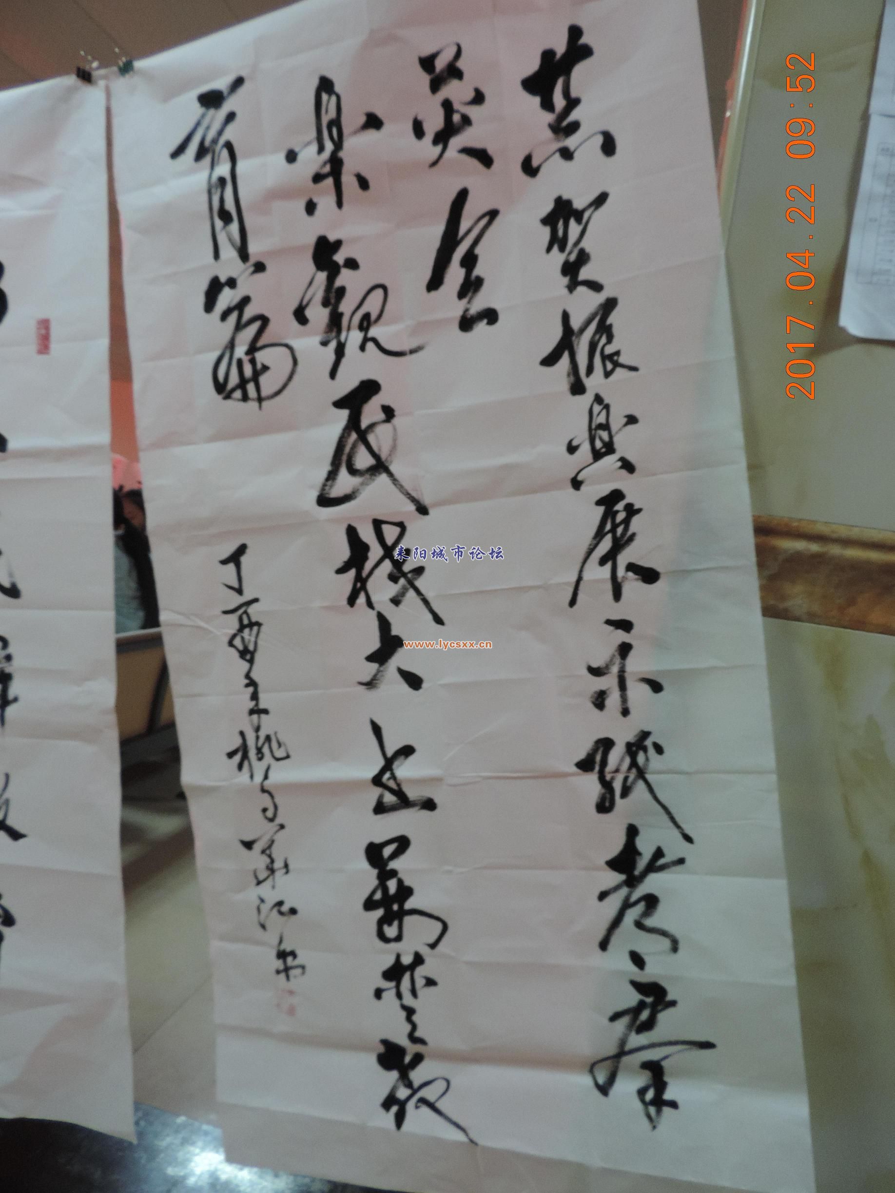 DSCN8180.JPG